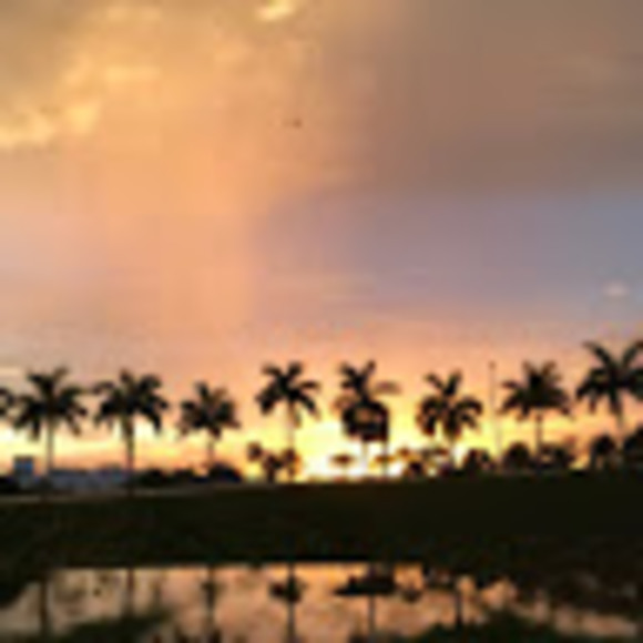 Meet your Posher, Selina - Picture 1 of 1